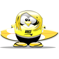 brice-tux_isb_tux